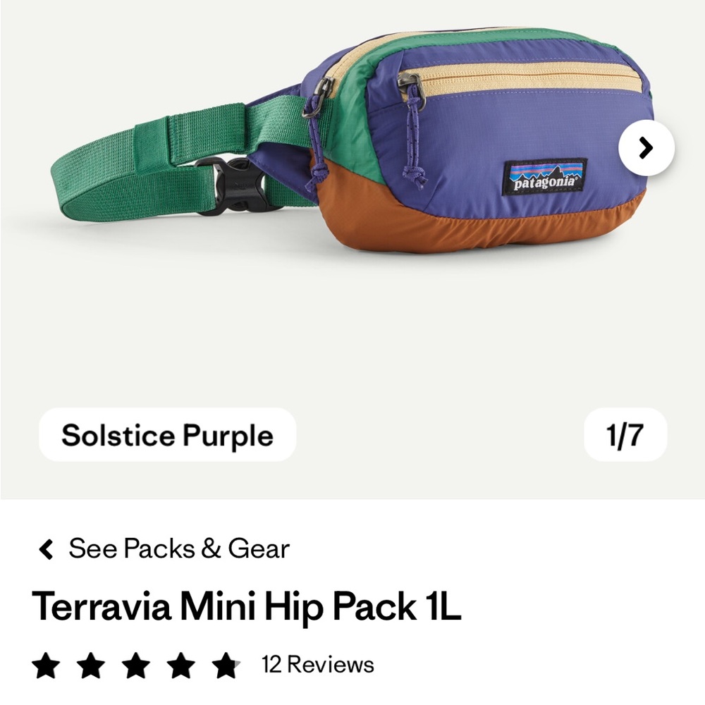 Patagonia mini belt bag